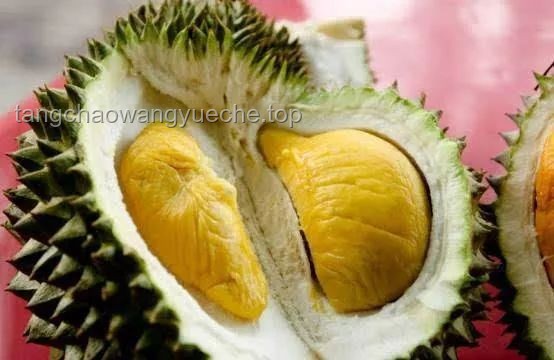 **榴莲风波下的旅行创新思维：解锁新加坡的“隐形规则”**